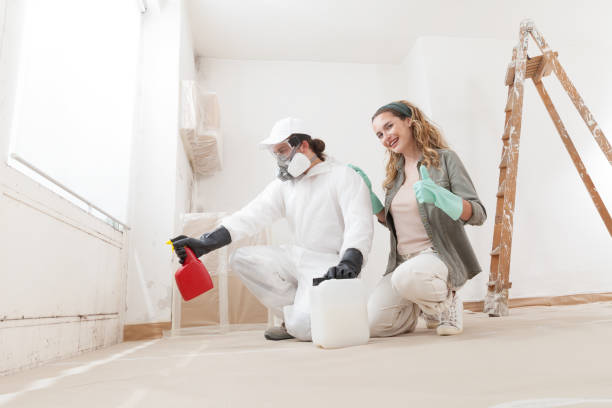 Best Airborne Mold Testing  in Diamond Springs, CA