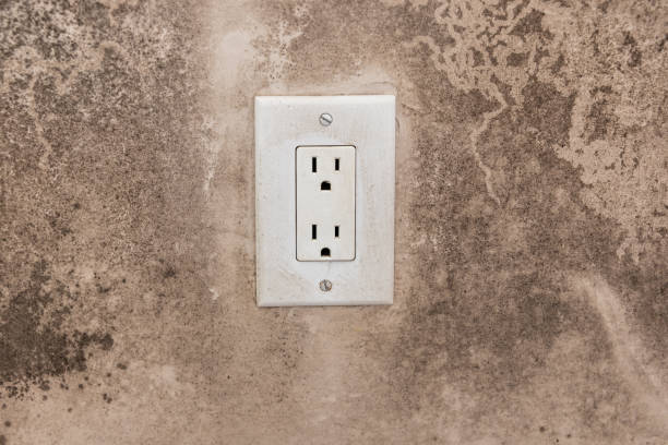 Best Mold Prevention Services  in Diamond Springs, CA