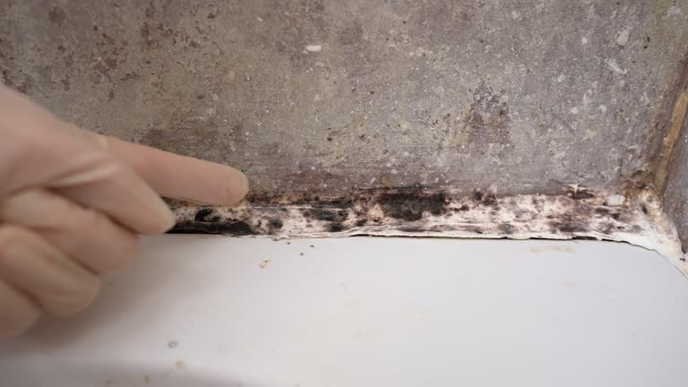Best Mold Odor Removal Services  in Diamond Springs, CA